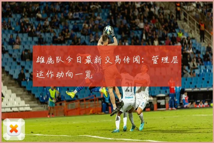 雄鹿队今日最新交易传闻：管理层运作动向一览